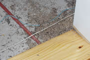 Ratas y Cables
